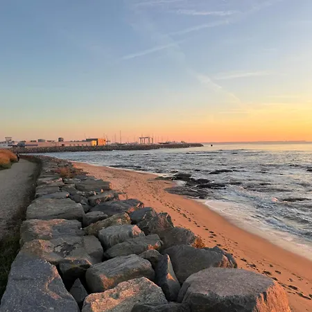 Maison Sur La , Pour Vivre Des Iodees 