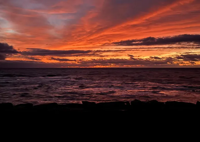 Maison Sur La , Pour Vivre Des Iodees 