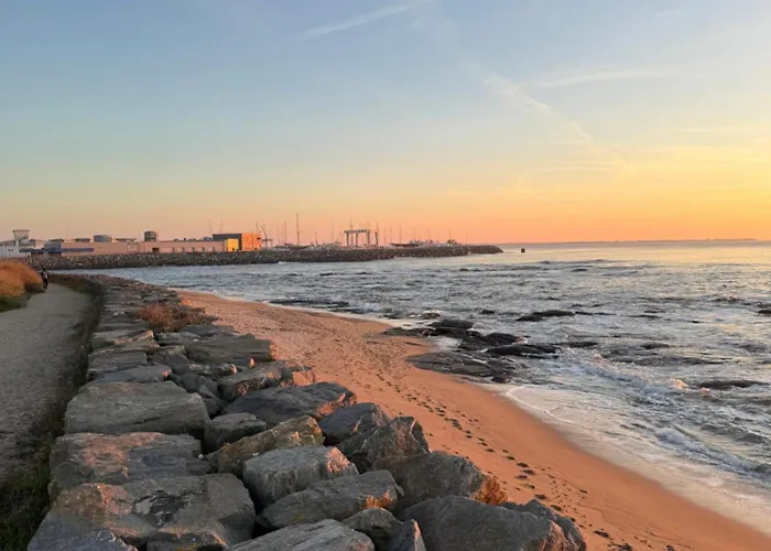 Maison Sur La , Pour Vivre Des Iodees 