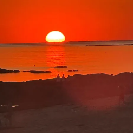 Maison Sur La , Pour Vivre Des Iodees 