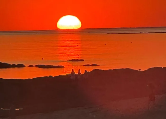 Maison Sur La , Pour Vivre Des Iodees 